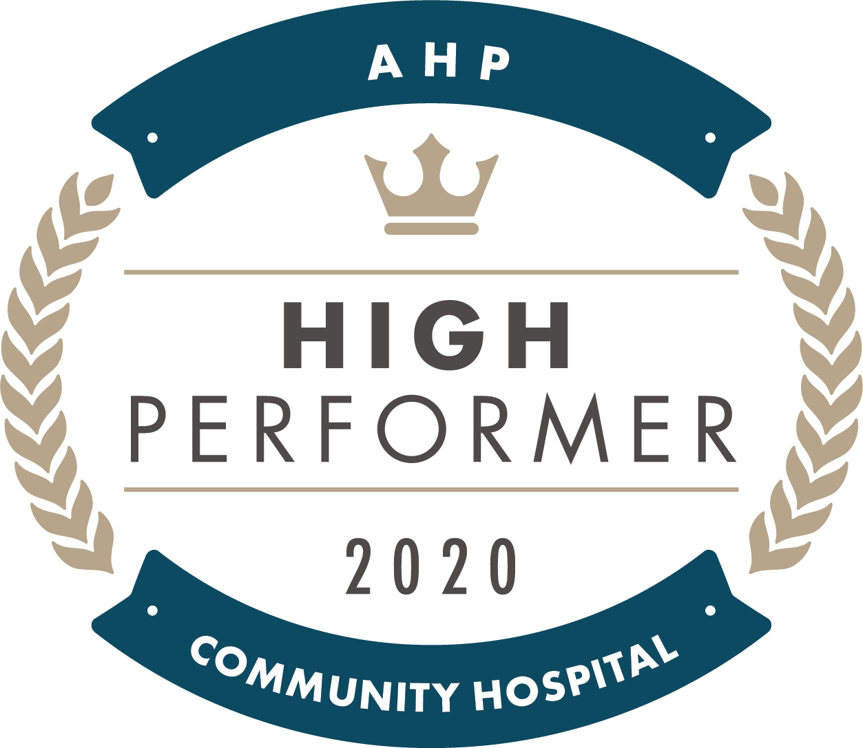 AHP High Performer 2020