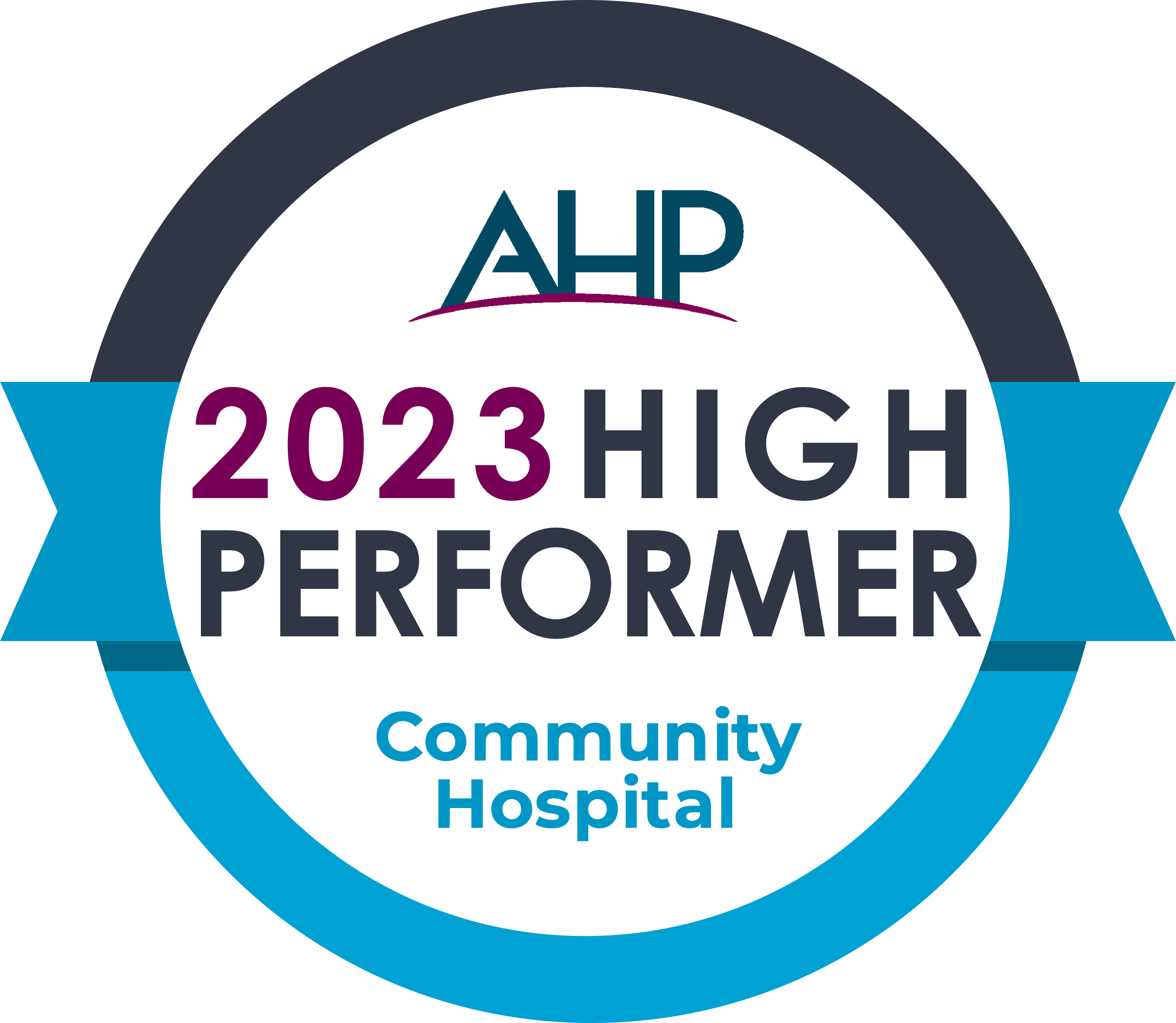 AHP High Performer 2023
