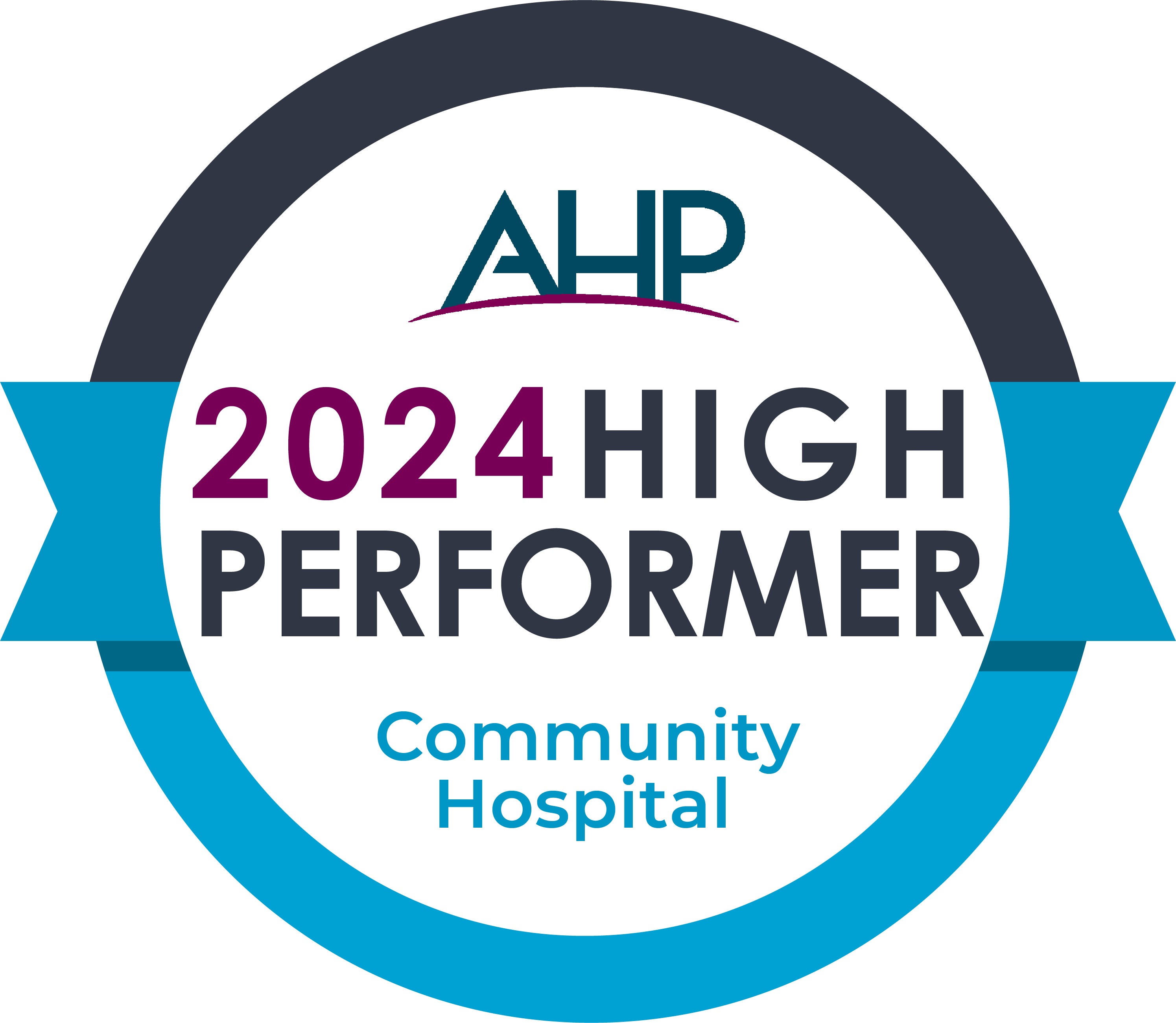 AHP High Performer 2024